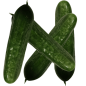 Preview: Landgurken 1kg