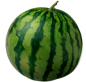 Preview: Wassermelone Kernarm ca.5kg 3/4 er