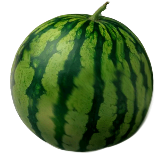 Wassermelone Kernarm ca.5kg 3/4 er