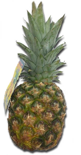 Ananas Stück
