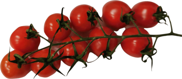 Cherrytomaten 0.5kg
