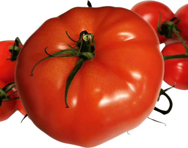 Fleischtomaten