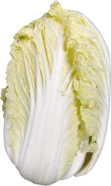 China Kohl 1 Kopf