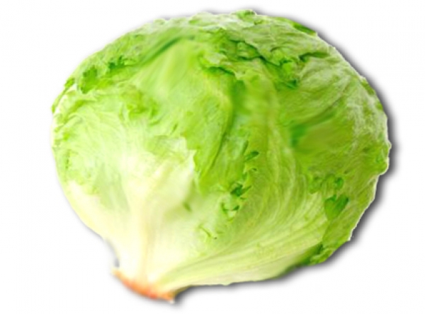 Eisbergsalat 1 Kopf