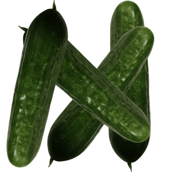 Landgurken 1kg