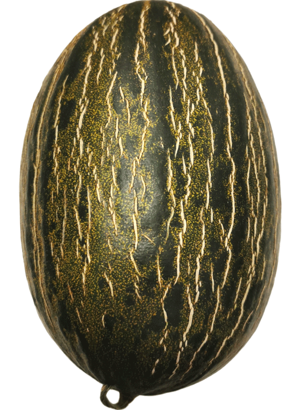 futuremelone