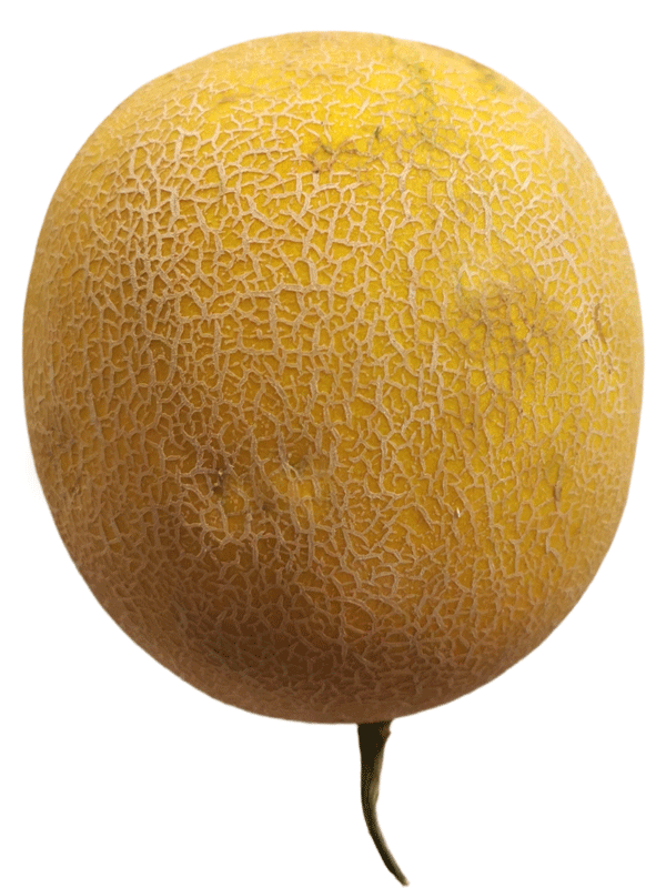 galiamelone