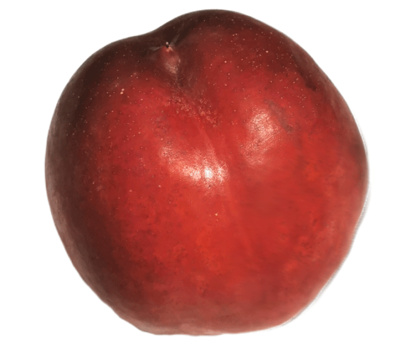 nektarinen