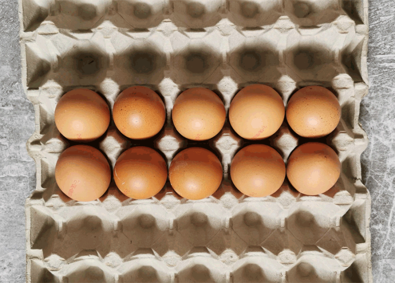 eier